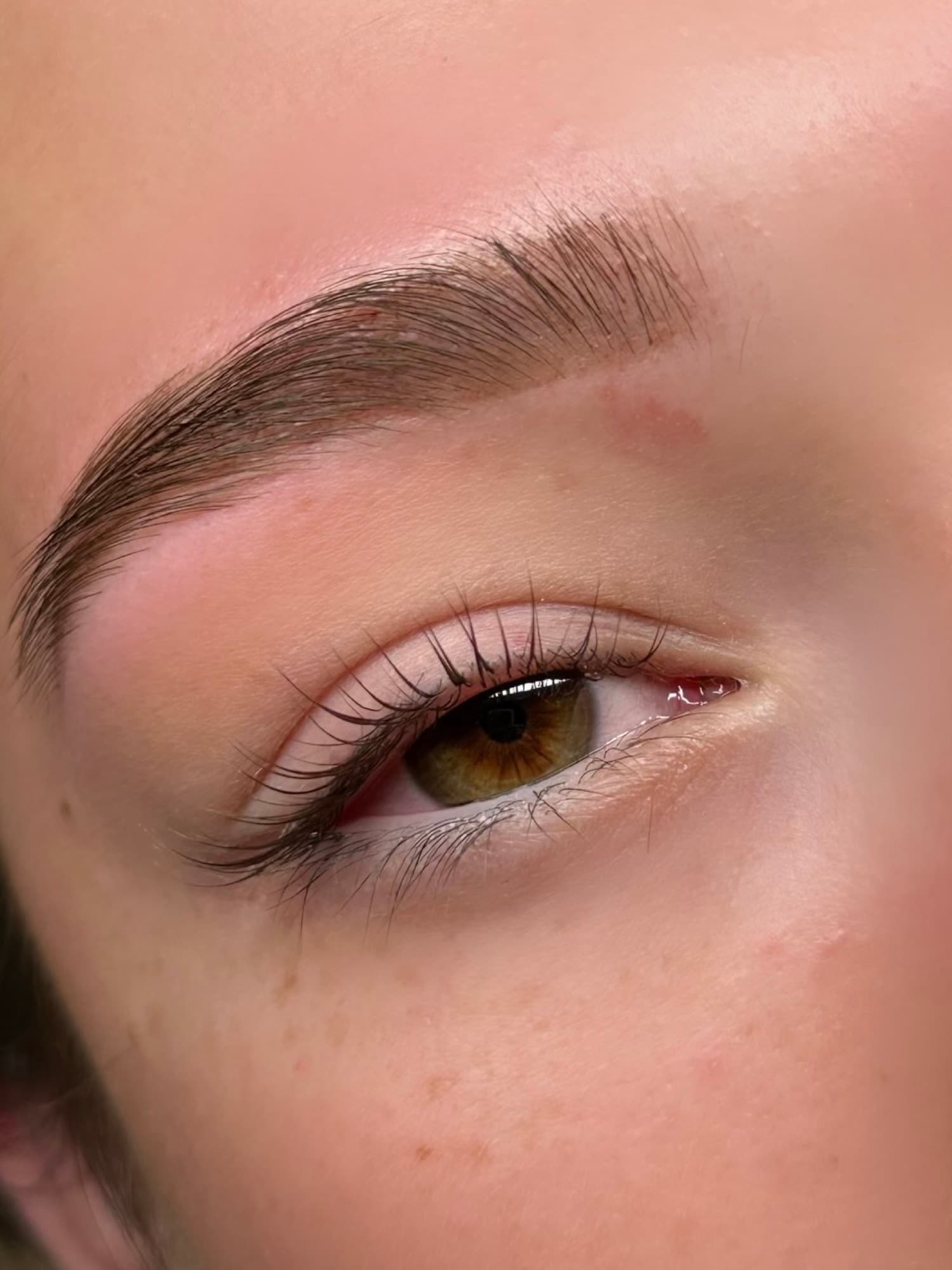 Lash Lifts 1